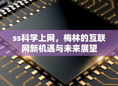 ss科学上网，梅林的互联网新机遇与未来展望