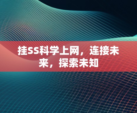 挂SS科学上网，连接未来，探索未知