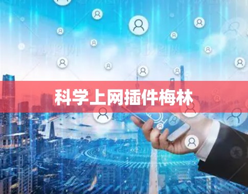 科学上网插件梅林