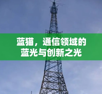 蓝猫，通信领域的蓝光与创新之光
