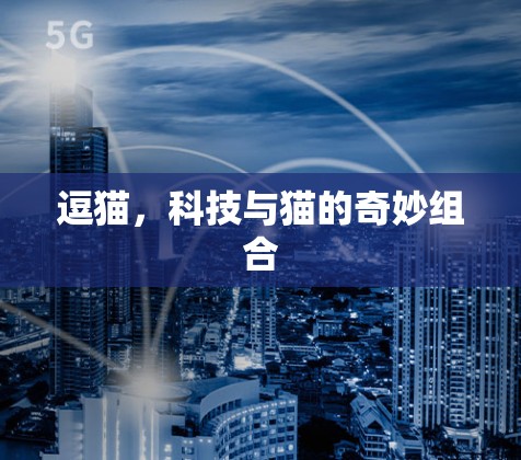 逗猫，科技与猫的奇妙组合