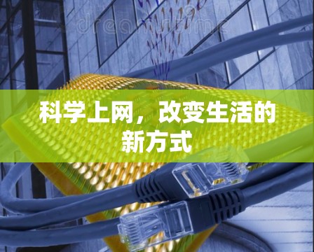 科学上网，改变生活的新方式
