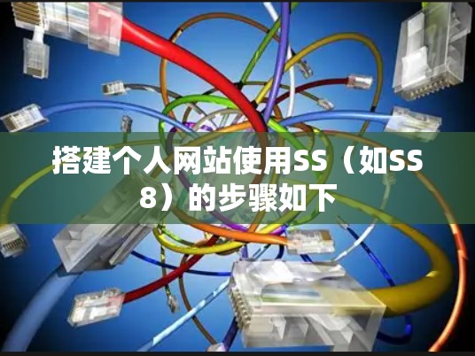 搭建个人网站使用SS(如SS8)的步骤如下 搭建个人网站使用SS(如SS8)的步骤如下