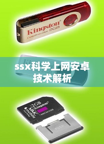 ssx科学上网安卓技术解析