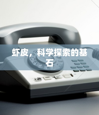 虾皮,科学探索的基石 虾皮,科学探索的基石