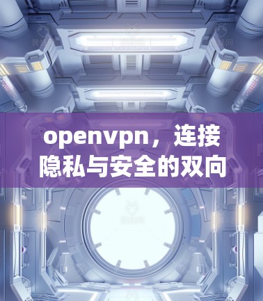openvpn，连接隐私与安全的双向网络