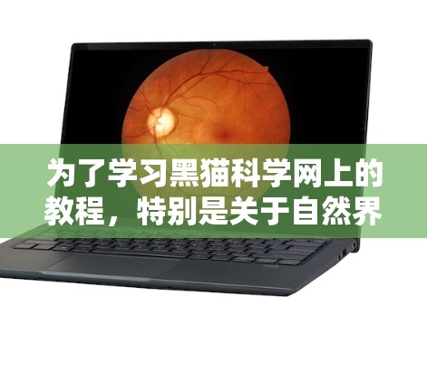 为了学习黑猫科学网上的教程,特别是关于自然界、生物和自然科学,可以按照以下步骤进行 为了学习黑猫科学网上的教程,特别是关于自然界、生物和自然科学,可以按照以下步骤进行