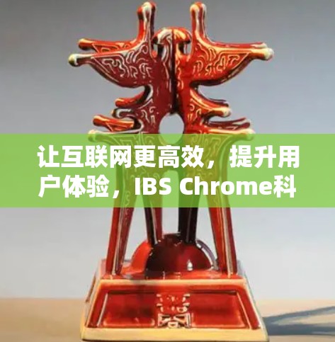 让互联网更高效,提升用户体验,IBS Chrome科学上网插件的详细解析 让互联网更高效,提升用户体验,IBS Chrome科学上网插件的详细解析