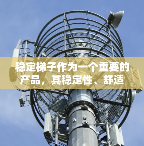 稳定梯子作为一个重要的产品，其稳定性、舒适性和实用性是其核心竞争力的关键因素。以下是对稳定梯子进行全面的评估