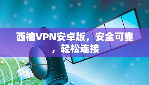 西柚VPN安卓版，安全可靠，轻松连接