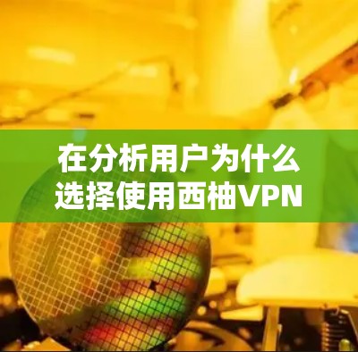 在分析用户为什么选择使用西柚VPN并考虑升级时，可以从以下几个方面进行解释