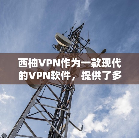 西柚VPN作为一款现代的VPN软件,提供了多种协议选择,如WEP、WPA2、WPA3和WPA22,适合不同设备类型和安全需求。以下是使用西柚VPN的详细步骤 西柚VPN作为一款现代的VPN软件,提供了多种协议选择,如WEP、WPA2、WPA3和WPA22,适合不同设备类型和安全需求。以下是使用西柚VPN的详细步骤
