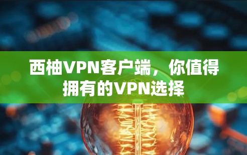 西柚VPN客户端，你值得拥有的VPN选择
