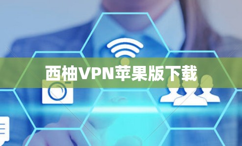 西柚VPN苹果版下载
