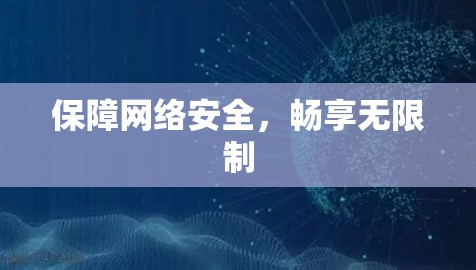 保障网络安全，畅享无限制