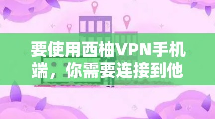 要使用西柚VPN手机端，你需要连接到他们的服务器，并进行以下步骤