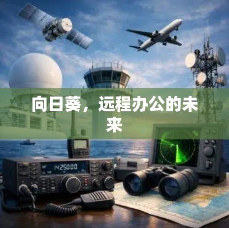 向日葵，远程办公的未来