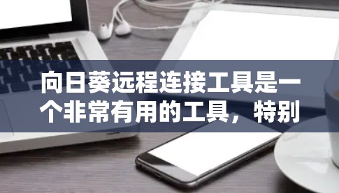 向日葵远程连接工具是一个非常有用的工具,特别是在需要频繁连接到向日葵设备时,它能够显著简化操作流程。以下是一些详细步骤和信息,帮助您更好地使用这个工具 向日葵远程连接工具是一个非常有用的工具,特别是在需要频繁连接到向日葵设备时,它能够显著简化操作流程。以下是一些详细步骤和信息,帮助您更好地使用这个工具