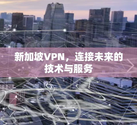 新加坡VPN,连接未来的技术与服务 新加坡VPN,连接未来的技术与服务