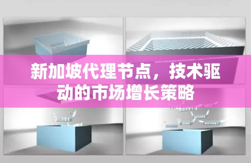 新加坡代理节点,技术驱动的市场增长策略 新加坡代理节点,技术驱动的市场增长策略