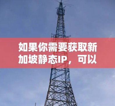 如果你需要获取新加坡静态IP，可以参考以下步骤