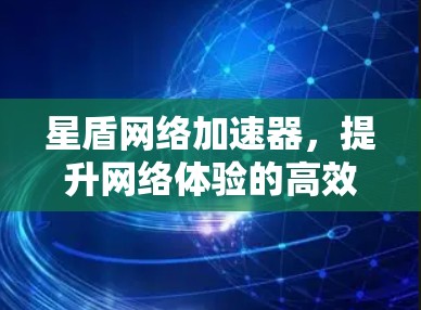星盾网络加速器,提升网络体验的高效解决方案 星盾网络加速器,提升网络体验的高效解决方案