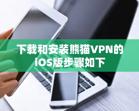 下载和安装熊猫VPN的iOS版步骤如下 下载和安装熊猫VPN的iOS版步骤如下