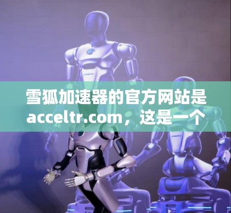 雪狐加速器的官方网站是acceltr.com,这是一个提供加速服务的网站。以下是关于雪狐加速器的详细介绍 雪狐加速器的官方网站是acceltr.com,这是一个提供加速服务的网站。以下是关于雪狐加速器的详细介绍