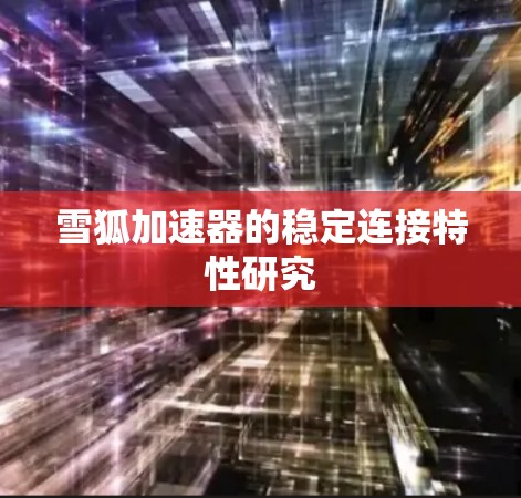 雪狐加速器的稳定连接特性研究 雪狐加速器的稳定连接特性研究