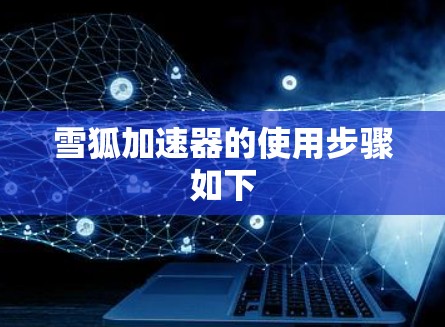 雪狐加速器的使用步骤如下 雪狐加速器的使用步骤如下