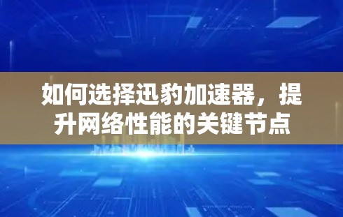 如何选择迅豹加速器，提升网络性能的关键节点