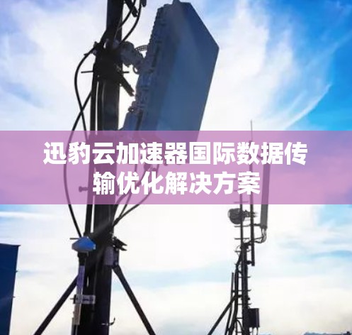 迅豹云加速器国际数据传输优化解决方案
