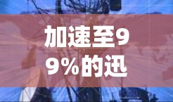加速至99%的迅风加速器,让网络连接更顺畅 加速至99%的迅风加速器,让网络连接更顺畅