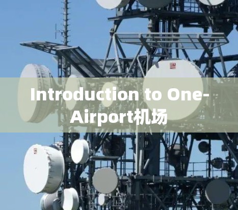 Introduction to One-Airport机场
