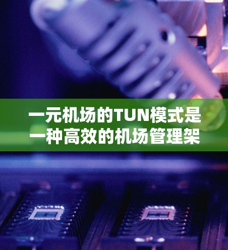 一元机场的TUN模式是一种高效的机场管理架构,通过将机场运营分成多个独立的网络,每个网络专注于特定服务,例如客户接待、航班预订等。以下是对该模式的详细分析和建议 一元机场的TUN模式是一种高效的机场管理架构,通过将机场运营分成多个独立的网络,每个网络专注于特定服务,例如客户接待、航班预订等。以下是对该模式的详细分析和建议