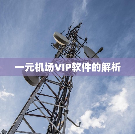 一元机场VIP软件的解析