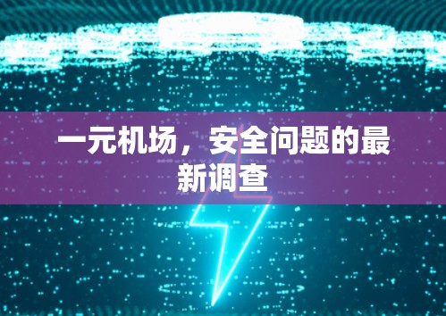 一元机场，安全问题的最新调查