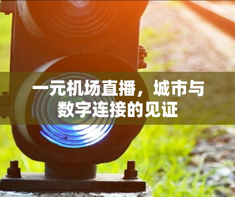 一元机场直播,城市与数字连接的见证 一元机场直播,城市与数字连接的见证