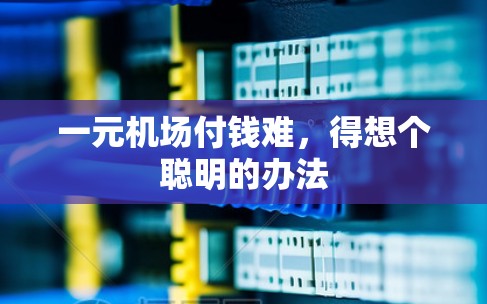 一元机场付钱难，得想个聪明的办法