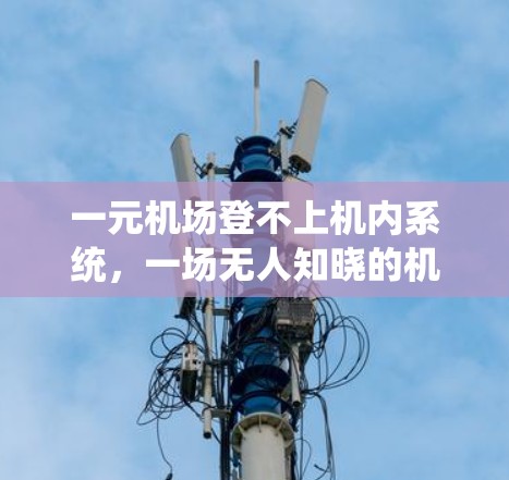 一元机场登不上机内系统,一场无人知晓的机场危机 一元机场登不上机内系统,一场无人知晓的机场危机