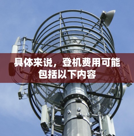 具体来说，登机费用可能包括以下内容