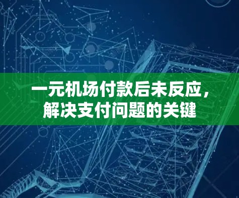一元机场付款后未反应,解决支付问题的关键 一元机场付款后未反应,解决支付问题的关键