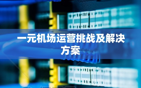 一元机场运营挑战及解决方案 一元机场运营挑战及解决方案