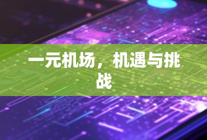 一元机场,机遇与挑战 一元机场,机遇与挑战