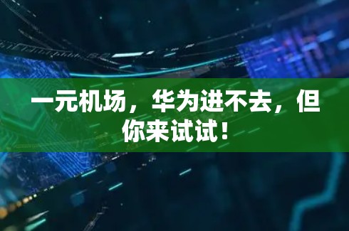 一元机场,华为进不去,但你来试试! 一元机场,华为进不去,但你来试试!