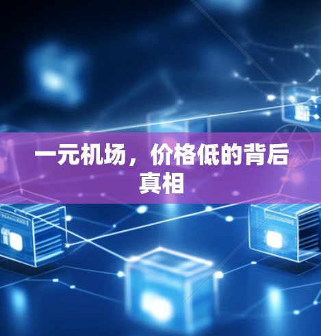一元机场,价格低的背后真相 一元机场,价格低的背后真相