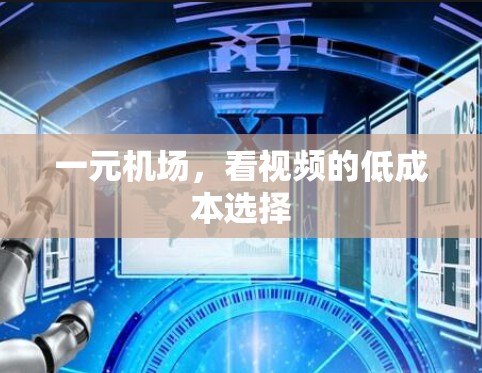 一元机场,看视频的低成本选择 一元机场,看视频的低成本选择