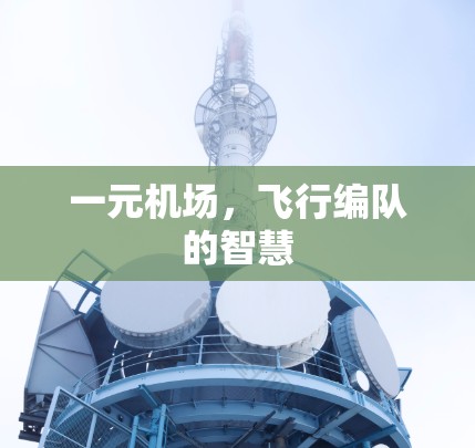 一元机场，飞行编队的智慧
