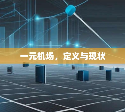 一元机场，定义与现状