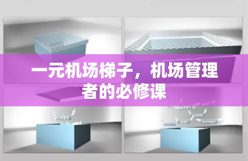一元机场梯子，机场管理者的必修课